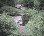 stepping stones over the coquet